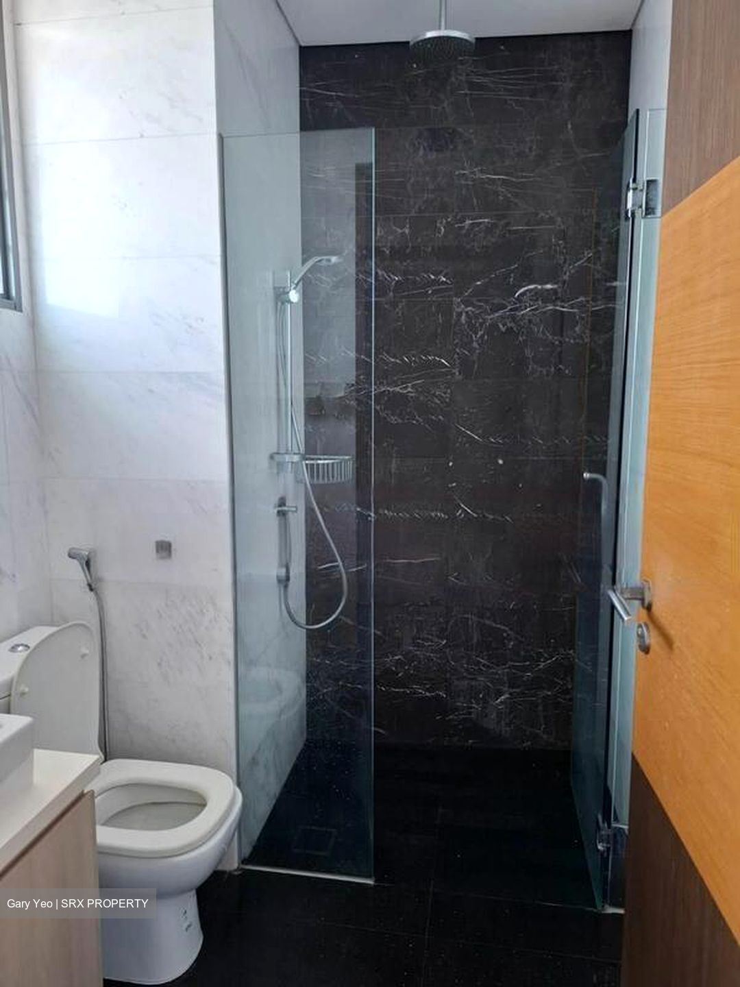 Harbour Suites (D4), Apartment #557123741